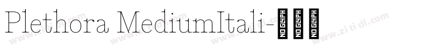 Plethora MediumItali字体转换
